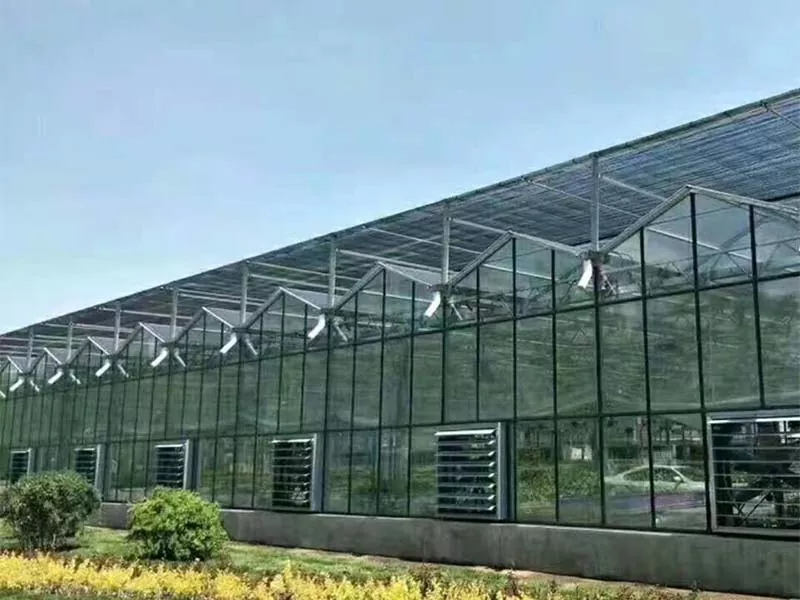 מה הופך חוות פלדה אנכית לעתיד של חקלאות בת קיימא?